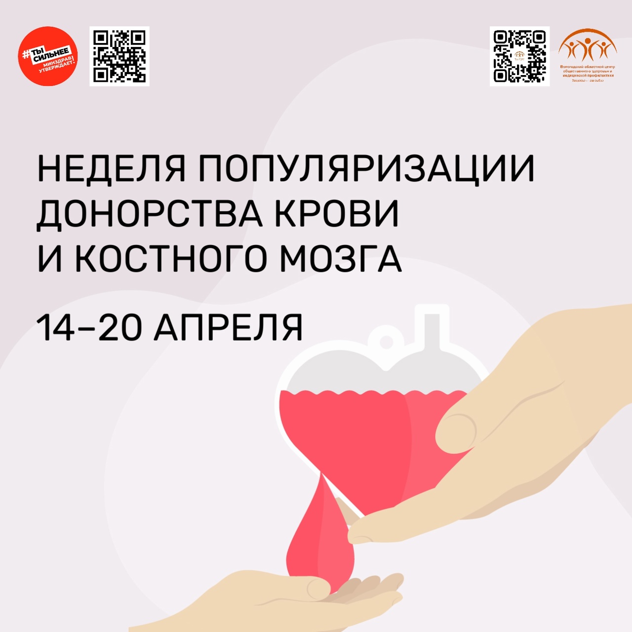 Стать донором крови — серьёзный и ответственный шаг!